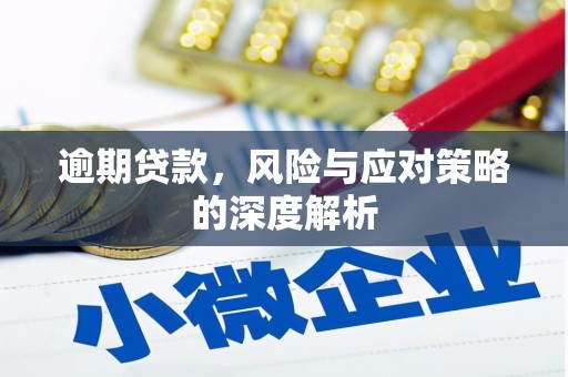 苏家屯逾期贷款，风险与应对策略的深度解析