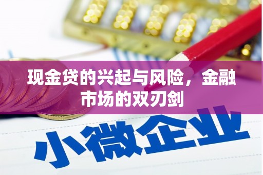 苏家屯现金贷的兴起与风险，金融市场的双刃剑