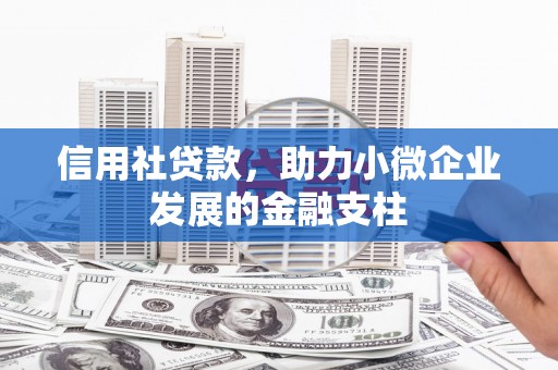 苏家屯信用社贷款，助力小微企业发展的金融支柱