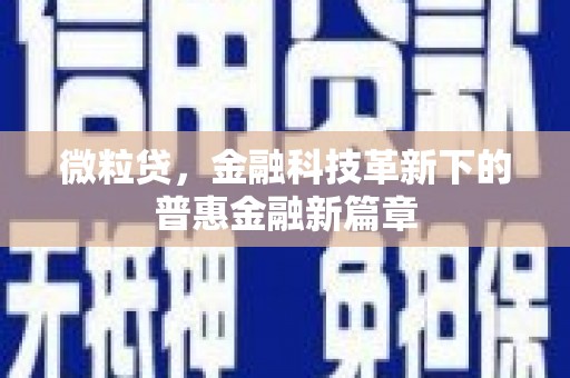 苏家屯微粒贷，金融科技革新下的普惠金融新篇章