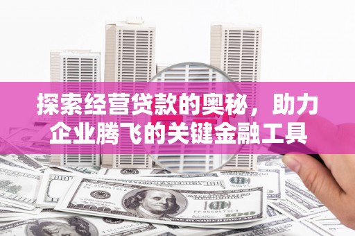 苏家屯探索经营贷款的奥秘，助力企业腾飞的关键金融工具