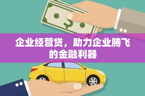 苏家屯企业经营贷，助力企业腾飞的金融利器