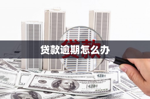苏家屯贷款逾期怎么办