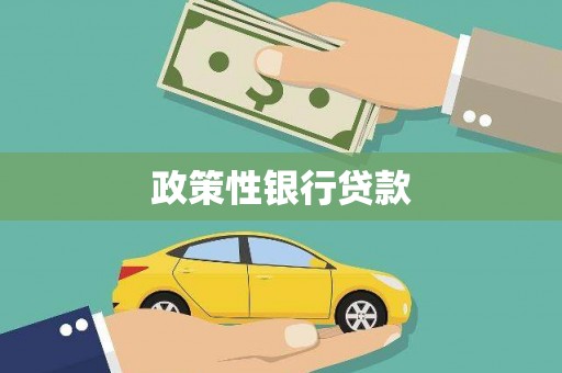 苏家屯政策性银行贷款