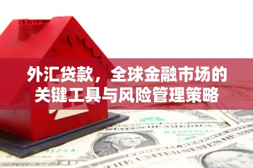 苏家屯外汇贷款，全球金融市场的关键工具与风险管理策略