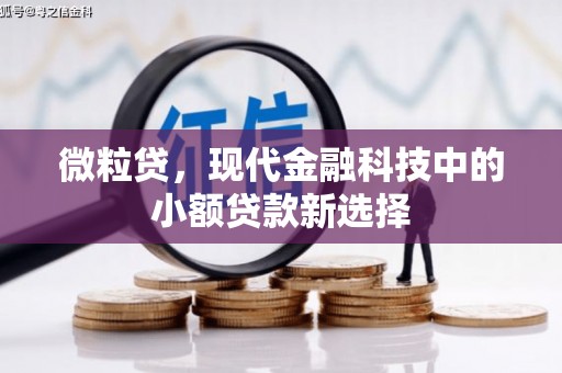 苏家屯微粒贷，现代金融科技中的小额贷款新选择