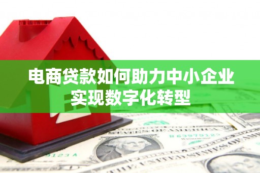 苏家屯电商贷款如何助力中小企业实现数字化转型