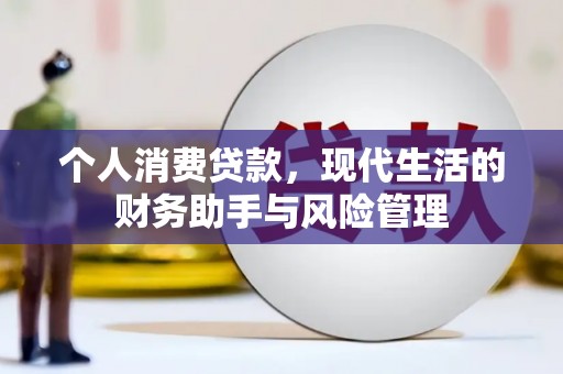 苏家屯个人消费贷款，现代生活的财务助手与风险管理