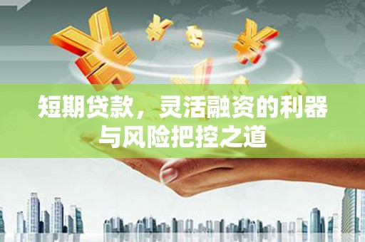 苏家屯短期贷款，灵活融资的利器与风险把控之道