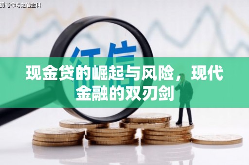 苏家屯现金贷的崛起与风险，现代金融的双刃剑