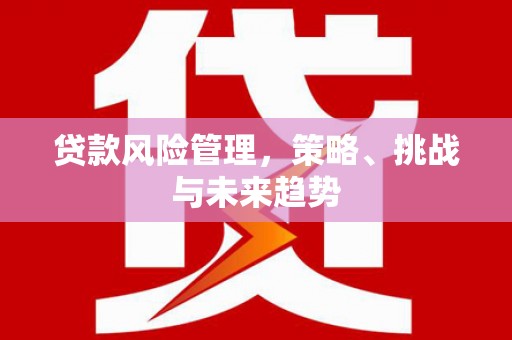 苏家屯贷款风险管理，策略、挑战与未来趋势