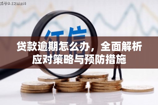 苏家屯贷款逾期怎么办，全面解析应对策略与预防措施