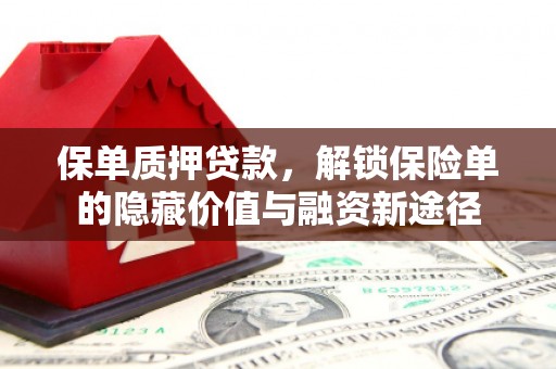 苏家屯保单质押贷款，解锁保险单的隐藏价值与融资新途径