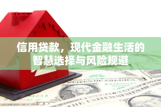 苏家屯信用贷款，现代金融生活的智慧选择与风险规避