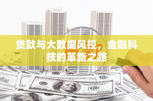 苏家屯贷款与大数据风控，金融科技的革新之路