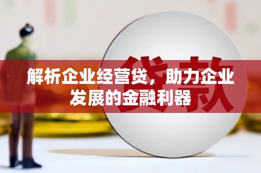 苏家屯解析企业经营贷，助力企业发展的金融利器