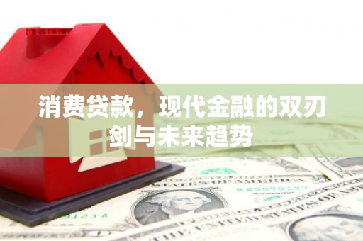 苏家屯消费贷款，现代金融的双刃剑与未来趋势
