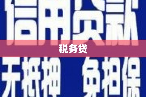 苏家屯税务贷