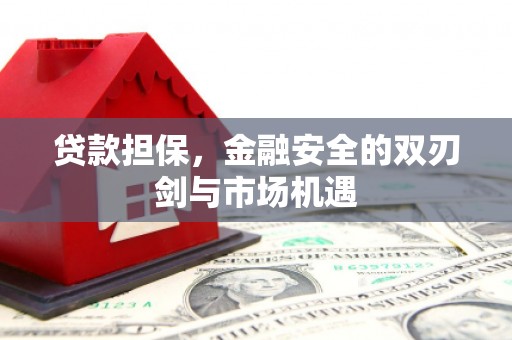 苏家屯贷款担保，金融安全的双刃剑与市场机遇