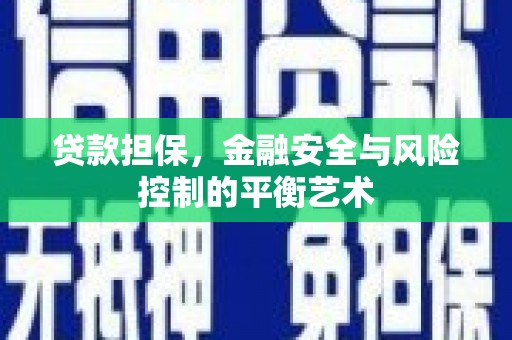 苏家屯贷款担保，金融安全与风险控制的平衡艺术