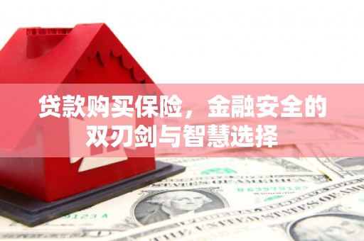 苏家屯贷款购买保险，金融安全的双刃剑与智慧选择