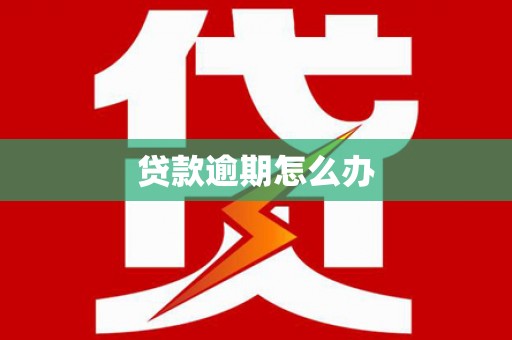 苏家屯贷款逾期怎么办