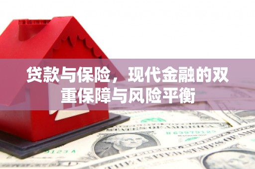 苏家屯贷款与保险，现代金融的双重保障与风险平衡