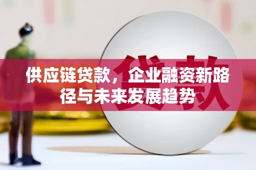 苏家屯供应链贷款，企业融资新路径与未来发展趋势