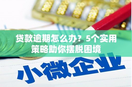 苏家屯贷款逾期怎么办？5个实用策略助你摆脱困境