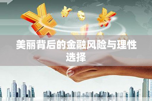 苏家屯美丽背后的金融风险与理性选择