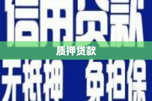 苏家屯质押贷款