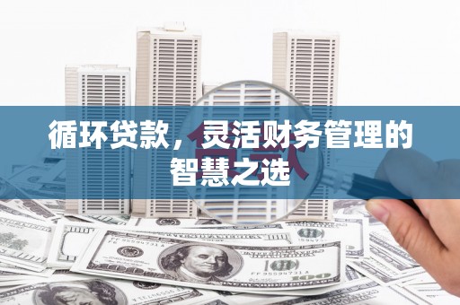苏家屯循环贷款，灵活财务管理的智慧之选