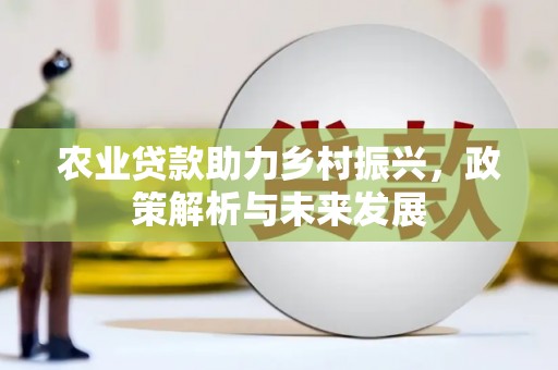 苏家屯农业贷款助力乡村振兴，政策解析与未来发展