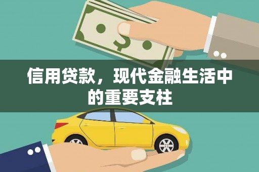 苏家屯信用贷款，现代金融生活中的重要支柱