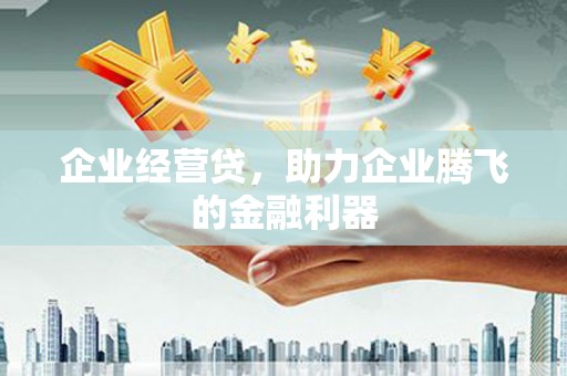 苏家屯企业经营贷，助力企业腾飞的金融利器