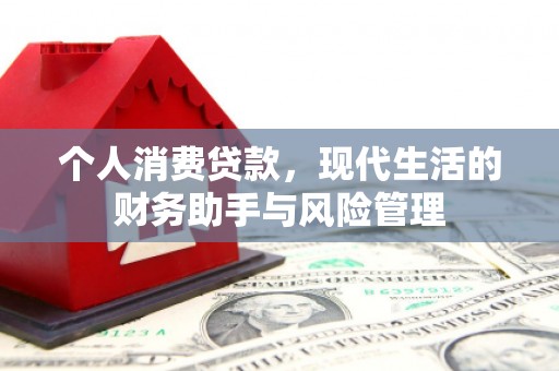 苏家屯个人消费贷款，现代生活的财务助手与风险管理