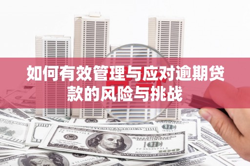 苏家屯如何有效管理与应对逾期贷款的风险与挑战