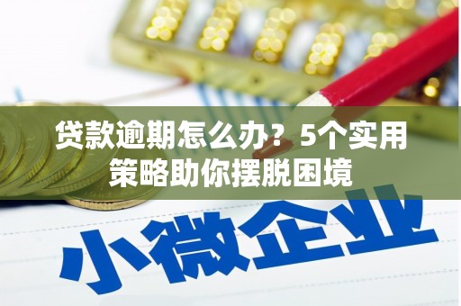 苏家屯贷款逾期怎么办？5个实用策略助你摆脱困境
