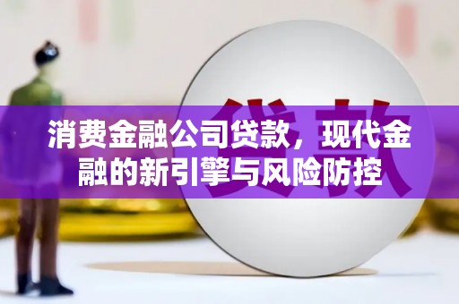 苏家屯消费金融公司贷款，现代金融的新引擎与风险防控