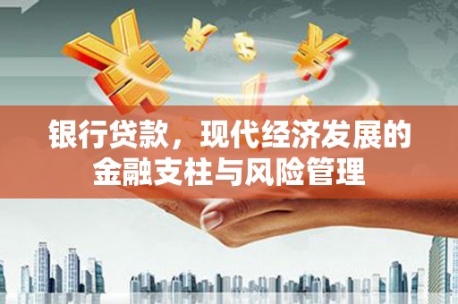 苏家屯银行贷款，现代经济发展的金融支柱与风险管理