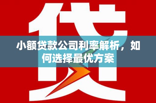 苏家屯小额贷款公司利率解析，如何选择最优方案