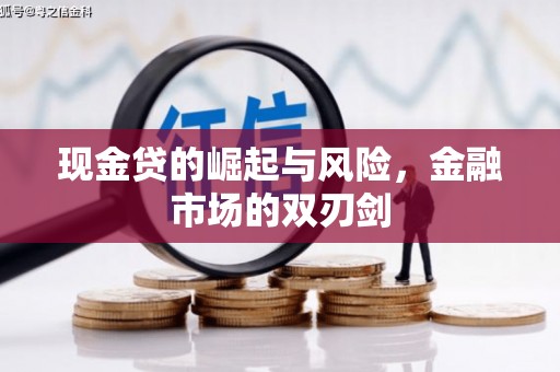 苏家屯现金贷的崛起与风险，金融市场的双刃剑