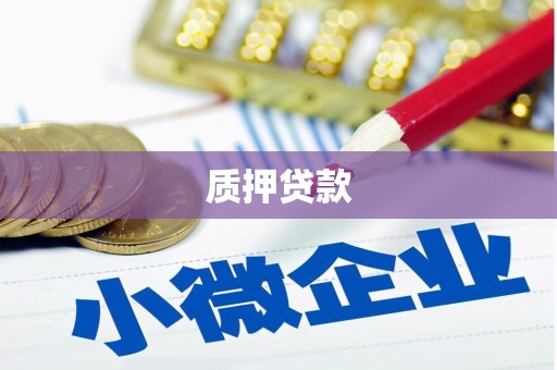 苏家屯质押贷款
