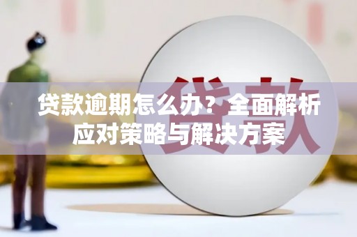 苏家屯贷款逾期怎么办？全面解析应对策略与解决方案