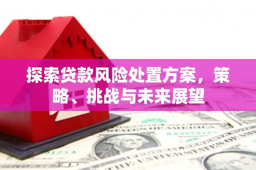 苏家屯探索贷款风险处置方案，策略、挑战与未来展望