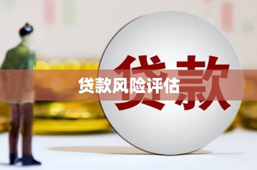 苏家屯贷款风险评估