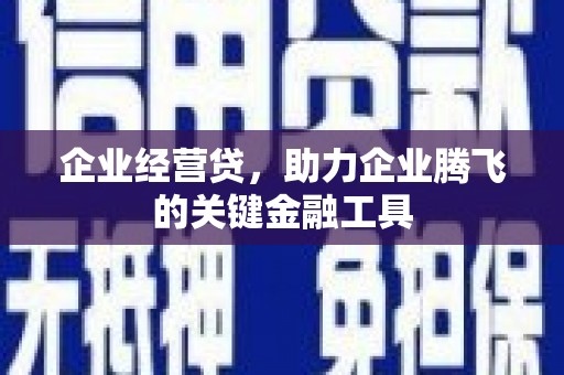 苏家屯企业经营贷，助力企业腾飞的关键金融工具