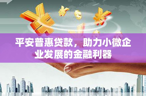 苏家屯平安普惠贷款，助力小微企业发展的金融利器