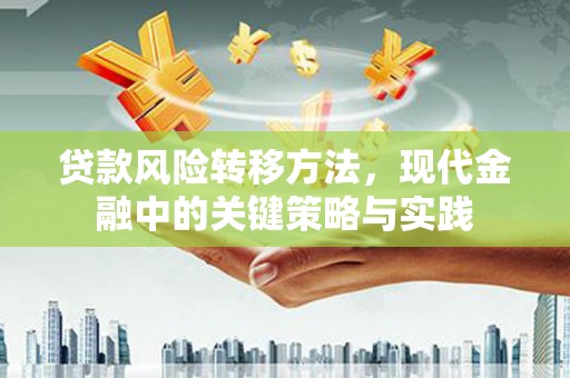 苏家屯贷款风险转移方法，现代金融中的关键策略与实践