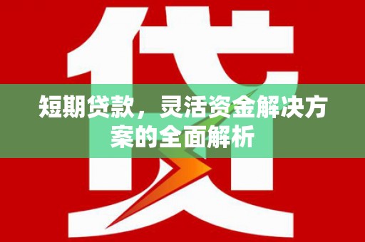 苏家屯短期贷款，灵活资金解决方案的全面解析
